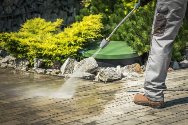 Best Dumpster Area Cleaning  in Springfield, IL
