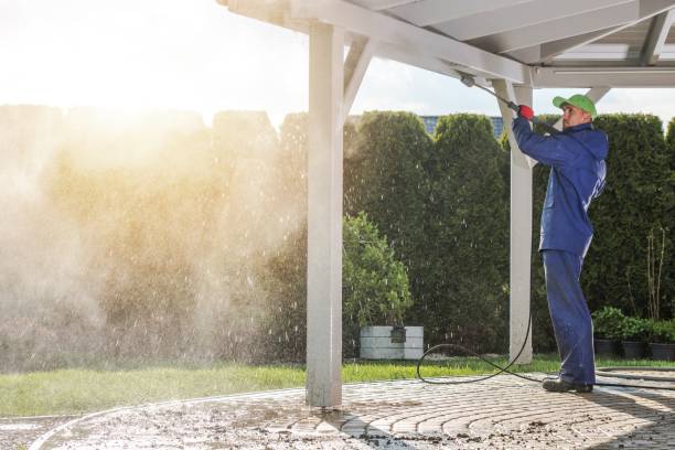 Best Spring Cleaning  in Springfield, IL