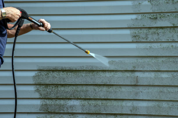 Trusted Springfield, IL Pressure Washing Services Experts